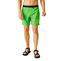 Fairway Green-Black - Lifestyle - Regatta Mens Bentham Swim Shorts