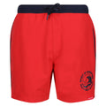 High Risk Red-Navy - Front - Regatta Mens Bentham Swim Shorts