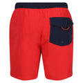 High Risk Red-Navy - Back - Regatta Mens Bentham Swim Shorts