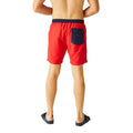 High Risk Red-Navy - Pack Shot - Regatta Mens Bentham Swim Shorts