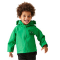 Jellybean Green - Lifestyle - Regatta Childrens-Kids Stompy The Dinosaur Waterproof Jacket