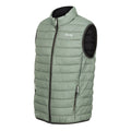 Agave Green - Side - Regatta Mens Hillpack II Gilet