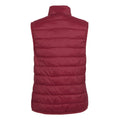 Rumba Red-Mineral Red - Back - Regatta Womens-Ladies Hillpack II Gilet