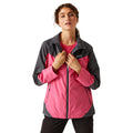 Flamingo Pink-Seal Grey - Lifestyle - Regatta Womens-Ladies Bosfield II Waterproof Jacket