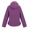 Sunset Purple-Lilac Frost - Back - Regatta Womens-Ladies Bourda Soft Shell Jacket