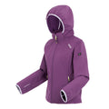 Sunset Purple-Lilac Frost - Side - Regatta Womens-Ladies Bourda Soft Shell Jacket