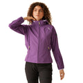 Sunset Purple-Lilac Frost - Lifestyle - Regatta Womens-Ladies Bourda Soft Shell Jacket