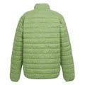 Piquant Green - Back - Regatta Mens Hillpack II Insulated Jacket