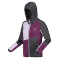 Seal Grey-Sunset Purple-Lilac Frost - Side - Regatta Womens-Ladies Walbury VII Marl Full Zip Fleece Jacket