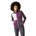 Seal Grey-Sunset Purple-Lilac Frost - Lifestyle - Regatta Womens-Ladies Walbury VII Marl Full Zip Fleece Jacket