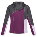 Seal Grey-Sunset Purple-Lilac Frost - Back - Regatta Womens-Ladies Walbury VII Marl Full Zip Fleece Jacket