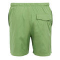 Piquant Green - Back - Regatta Mens Mackleyna Swim Shorts