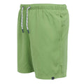 Piquant Green - Side - Regatta Mens Mackleyna Swim Shorts