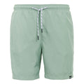 Glacier - Front - Regatta Mens Mackleyna Swim Shorts