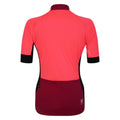 Neon Pink-Berry Pink - Back - Dare 2B Womens-Ladies Compassion III Jersey Cycling Top