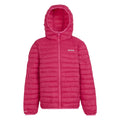 Pink Potion - Back - Regatta Childrens-Kids Hillpack II Hooded Padded Jacket