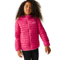 Pink Potion - Pack Shot - Regatta Childrens-Kids Hillpack II Hooded Padded Jacket