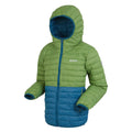 Piquant Green-Moroccan Blue - Side - Regatta Childrens-Kids Hillpack II Colour Block Padded Jacket