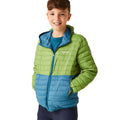 Piquant Green-Moroccan Blue - Lifestyle - Regatta Childrens-Kids Hillpack II Colour Block Padded Jacket