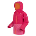 Pink Potion-Flamingo Pink - Side - Regatta Childrens-Kids Highton V Full Zip Hoodie