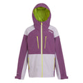 Sunset Purple-Lilac Frost - Front - Regatta Childrens-Kids Highton V Full Zip Hoodie