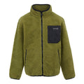 Nephrite Green - Front - Regatta Childrens-Kids Frankie Full Zip Fleece Jacket