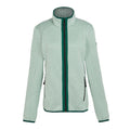 Dusty Green - Front - Regatta Womens-Ladies Elzie Full Zip Fleece Jacket