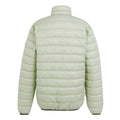 Abbeystone-Nephrite Green - Back - Regatta Mens Marizion Padded Jacket