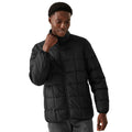 Black - Side - Regatta Mens Wilnor Padded Jacket