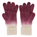 Rumba Red-Light Vanilla - Back - Regatta Womens-Ladies Frosty VIII Ombre Gloves