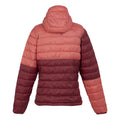 Rumba Red-Mineral Red - Back - Regatta Womens-Ladies Hillpack II Hooded Jacket