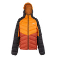 Fox-Red Ochre - Front - Regatta Mens Dalent Hooded Insulated Jacket