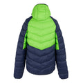 Green Flash-Navy - Back - Regatta Mens Dalent Hooded Insulated Jacket