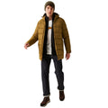 Umber - Lifestyle - Regatta Mens Lakiver Padded Jacket