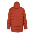 Red Ochre - Back - Regatta Mens Lakiver Padded Jacket