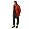 Red Ochre - Lifestyle - Regatta Mens Lakiver Padded Jacket