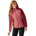 Rumba Red-Mineral Red - Side - Regatta Womens-Ladies Dalent Quilted Hooded Jacket