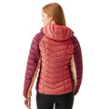 Rumba Red-Mineral Red - Lifestyle - Regatta Womens-Ladies Dalent Quilted Hooded Jacket