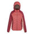 Rumba Red-Mineral Red - Front - Regatta Womens-Ladies Dalent Quilted Hooded Jacket