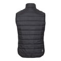 Black - Back - Dare 2B Mens Touring II Colour Block Gilet