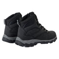 Black - Back - Regatta Mens Holcombe Classic Walking Boots