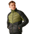 Nephrite Green-Black - Lifestyle - Regatta Mens Dalent Padded Jacket