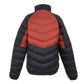 Red Ochre-Black - Back - Regatta Mens Dalent Padded Jacket