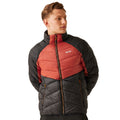 Red Ochre-Black - Lifestyle - Regatta Mens Dalent Padded Jacket