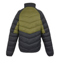 Nephrite Green-Black - Back - Regatta Mens Dalent Padded Jacket