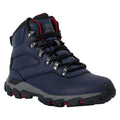 Navy - Front - Regatta Womens-Ladies Holcombe Classic Walking Boots