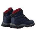 Navy - Back - Regatta Womens-Ladies Holcombe Classic Walking Boots