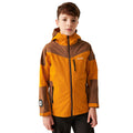 Fox-Dark Brown - Pack Shot - Regatta Boys Trekktain 3 in 1 Jacket