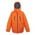 Carrot - Front - Regatta Mens Christian Lacroix Congenies Short Padded Jacket