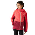 Red Sky-Rumba Red - Side - Regatta Childrens-Kids Haydenbury II Soft Shell Jacket